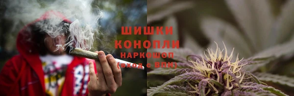 дживик Инсар