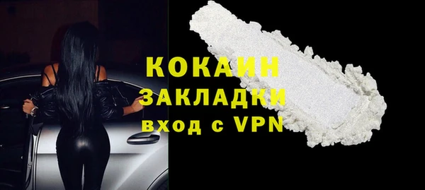крисы Мегион