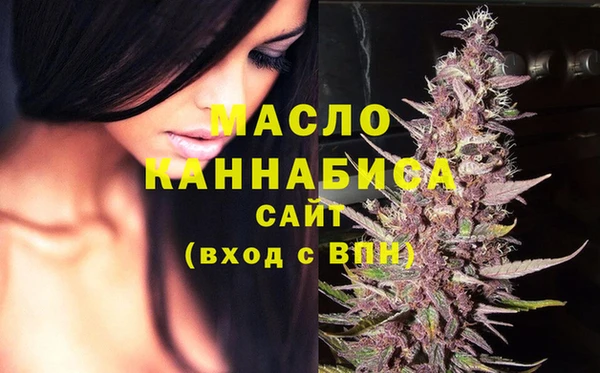крисы Мегион