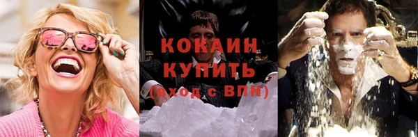 ПСИЛОЦИБИНОВЫЕ ГРИБЫ Лиски